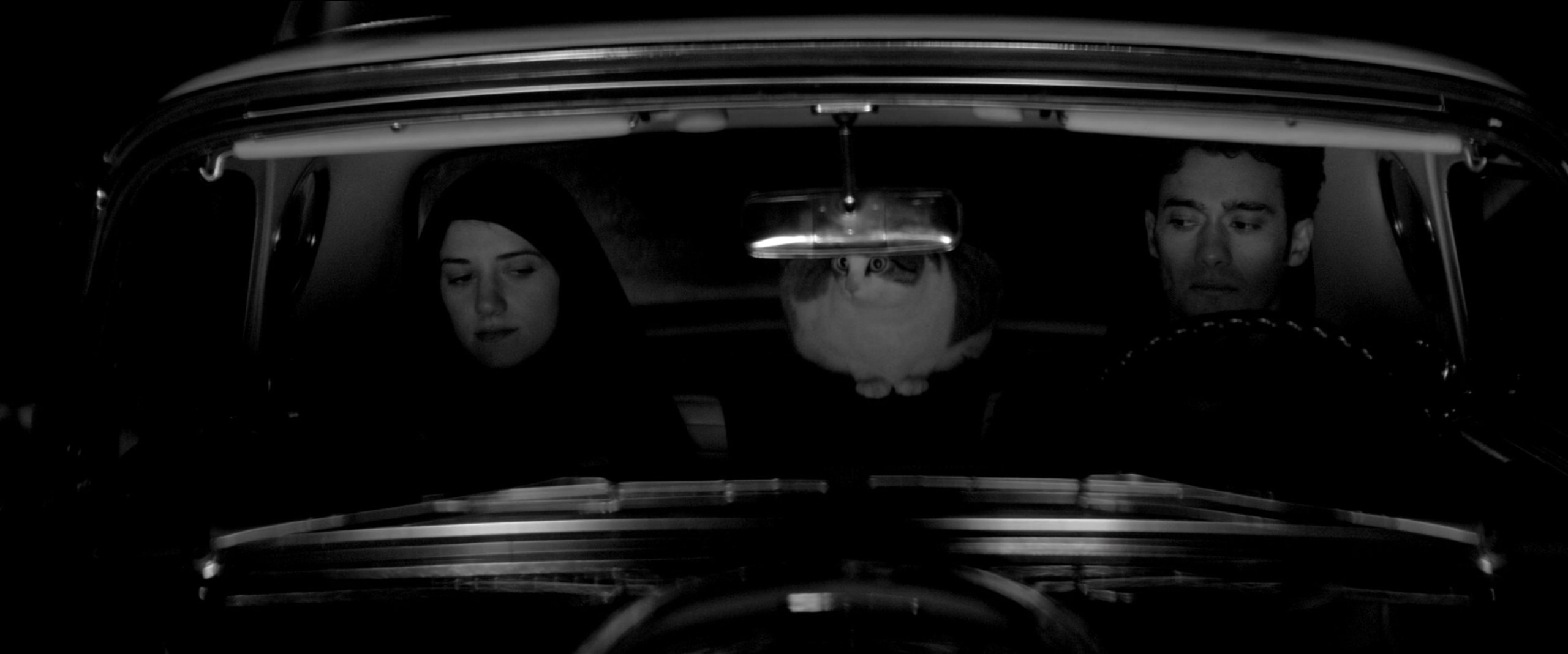 A Girl Walks Home Alone at Night 01:35:35